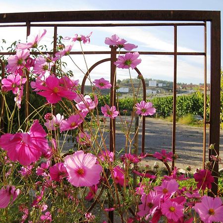 Jardines De Casablanca Hotel Caravaca De La Cruz Ngoại thất bức ảnh