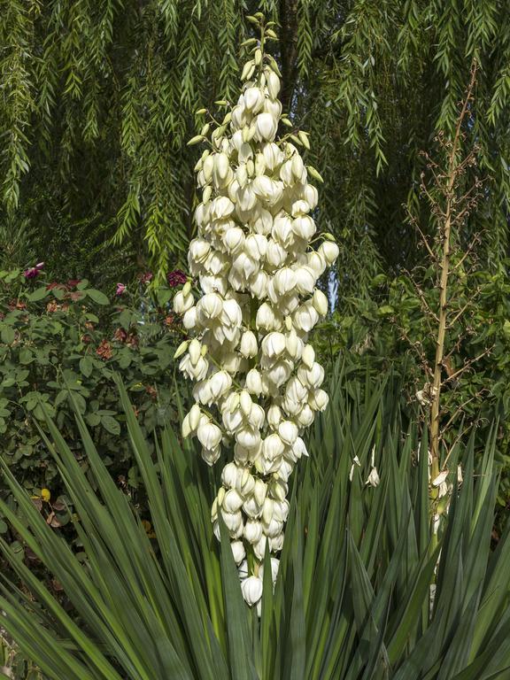 Jardines De Casablanca Hotel Caravaca De La Cruz Ngoại thất bức ảnh