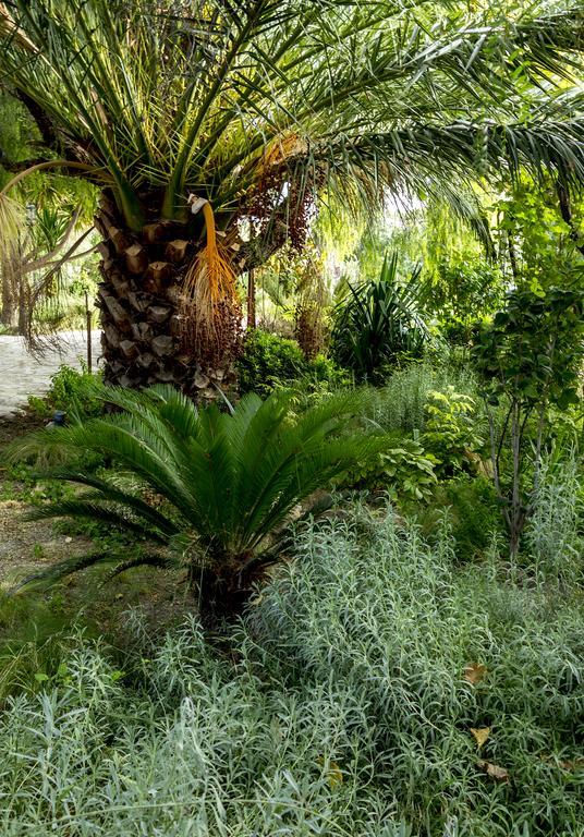 Jardines De Casablanca Hotel Caravaca De La Cruz Ngoại thất bức ảnh